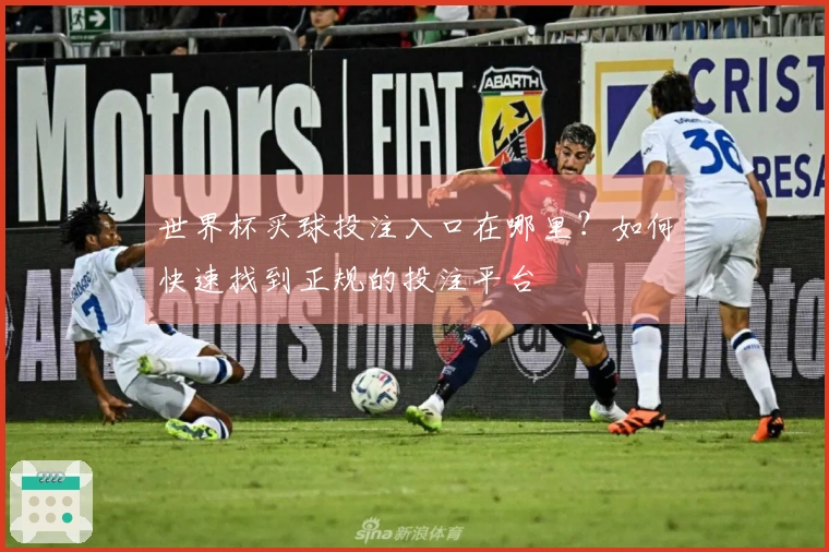 世界杯买球投注入口在哪里？如何快速找到正规的投注平台